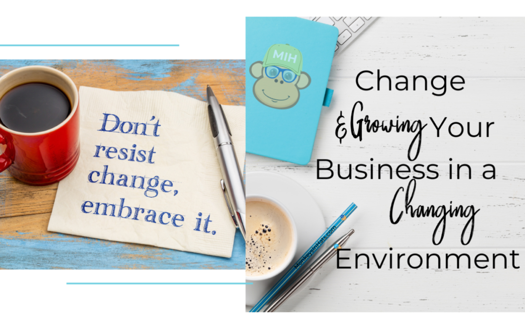 Change & Growing Your Business in a Changing Environment