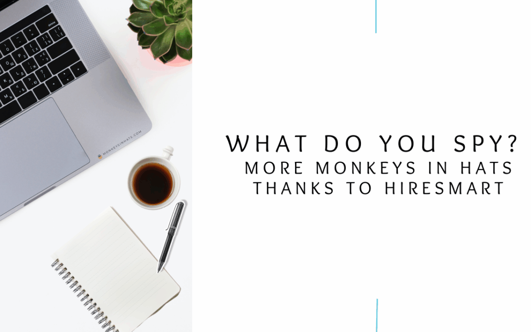 What do you spy? More Monkeys in Hats thanks to HireSmart